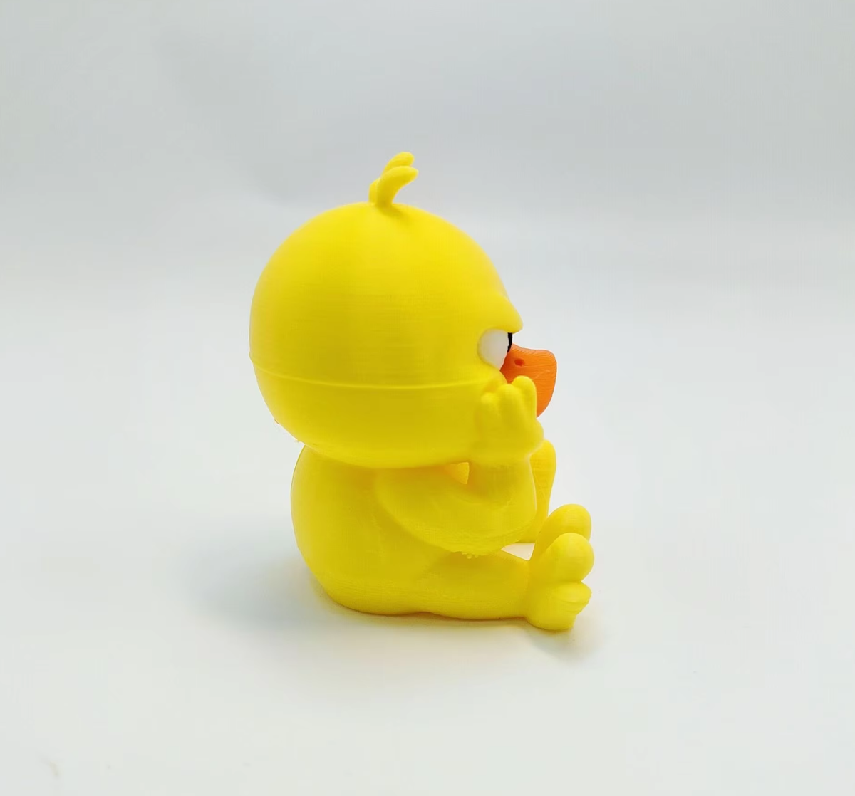 FuryDuck